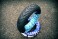 Покрышка 120/70-12 DELI Tire SB-109 Urban Grip