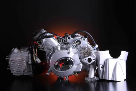 Двигатель Альфа/JH-110 см3 d-52,4 мм механика TMMP